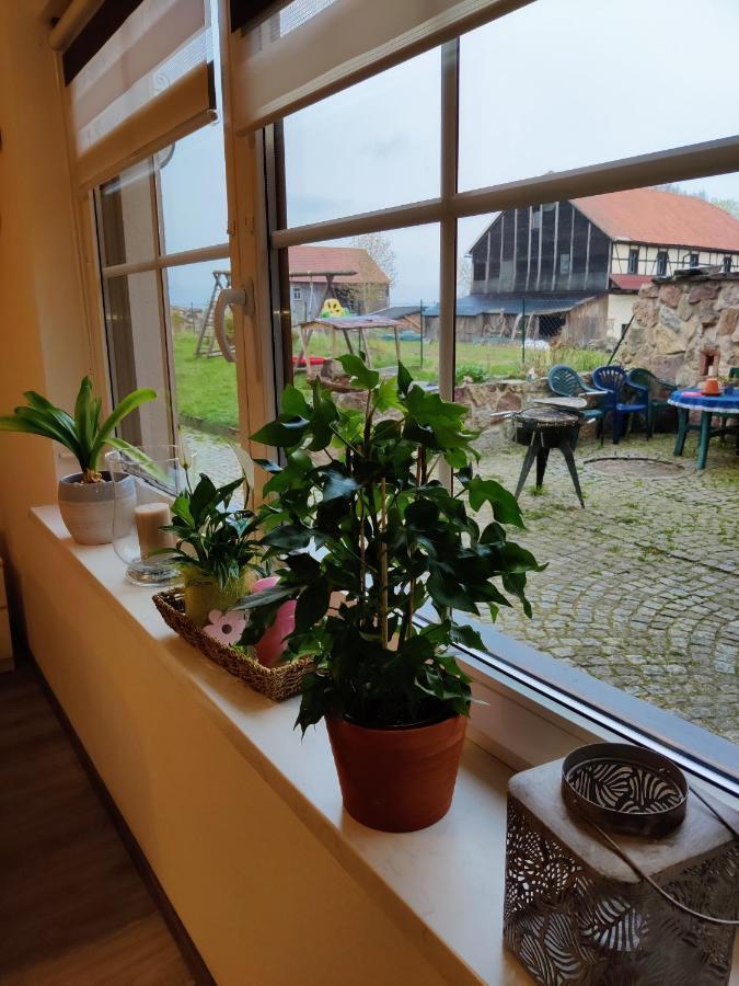 Ferienwohnung Brunow In der Natur Zuhause Neundorf  Exterior foto